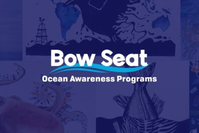 bowseatposter